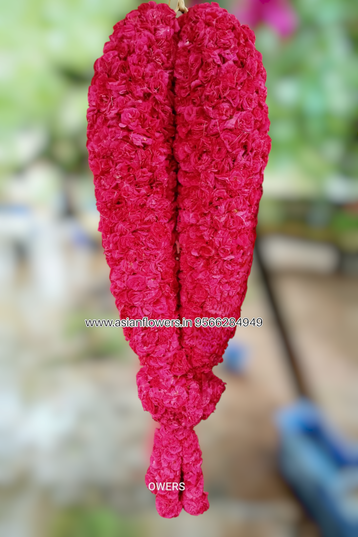 VIP welcome Garland (27)